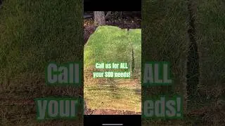 CALL us for ALL your SOD needs! #sod #landscape #design #grass