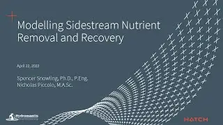 Modelling Sidestream Nutrient Removal and Recovery