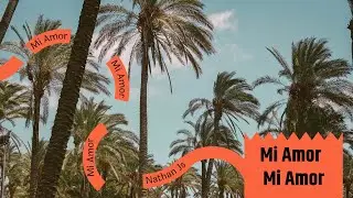 Mi Amor (Visualizer Audio)