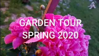 Garden Tour - SPRING 2020 (part 1)