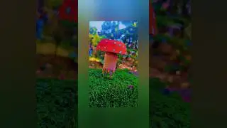 Red fly agaric mushroom 🍄🍄