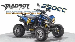 ATV BASHAN BADBOY ELITE SHOSHONITE 250CC