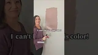 Идеальный цвет краски для моей атмосферной комнатки с растениями! Barberry от Benjamin Moore #fre...