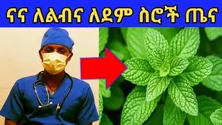 Desu Health Tube(DHT),, ናና ለልብና ለደም ስሮች ጤና/Peppermint for cardiovascular health!