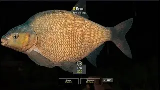 Russian Fishing 4 2022 оз. Комариное  24.11.2022