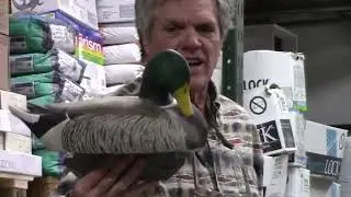 Decoy Show and Tell February 2022 Minnesota Decoy and Wildfowl Carving Club