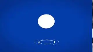Blue bird  Animation
