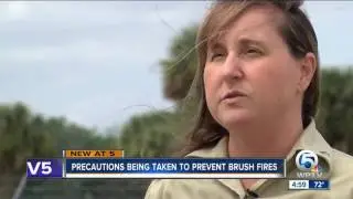 Brush fire in Jupiter Farms