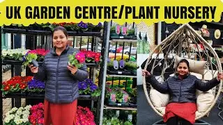 MY KUTTY HOME GARDEN & LETS EXPLORE UK GARDEN CENTRE/PLANT NURSERY|MY HOME GARDEN|LONDON TAMIL VLOGS