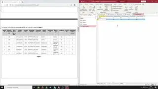 Database Mock Activity 1  - Data Entry