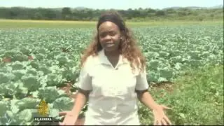 20458 economics agriculture Al Jazeera Counting the Cost   Venezuela The world's worst performing