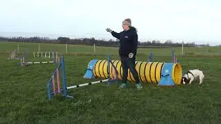 Dog Agility: Extreme Layering 1: Introduction and verbal cues
