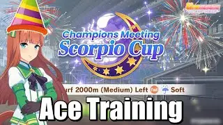 Training Suzuka for the New Years... and Scorpio Cup [Umamusume Pretty Derby]