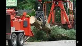 Tree Removal Melbourne | Tree Removal In Melbourne | Tree Removal Services in Melbourne