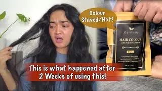 The Wellness Shop Natural Hair Colour| Black | Results After 2 Weeks 😓