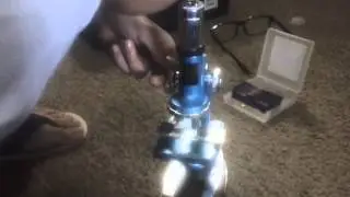 how to use a microscope 1 minute