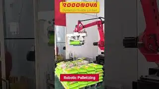 Robotic Arm Palletizing by Robonova Dynamics