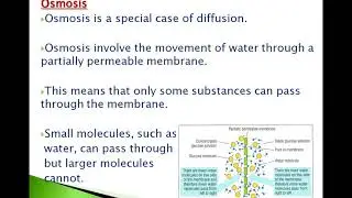 CXC STUDY GUIDE - Osmosis   CXC Human and Social Biology, Biology and Integrated Science