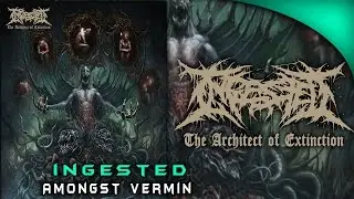INGESTED - ARMONGST VERMIN (THE ARCHITECT OF EXTINCTION)