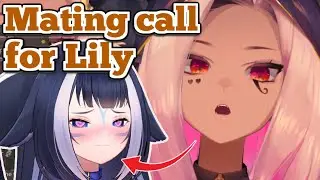 Tricky's mating call for Lily