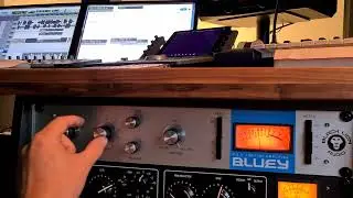 Black Lion Audio Bluey - Problems - Sound Distortion