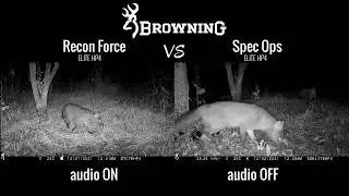 Night - Browning Recon Force Elite HP4 vs Spec Ops Elite HP4