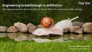 New material provides breakthrough in 'softbotics'