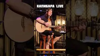 Капибара - Ростислав Чебыкин живое выступление на сцене #бард #музыка #топ #песня #капибара #beardtv