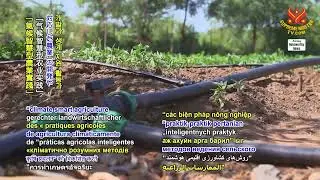 1882 NWN 1 Niger receives humanitarian aid from United States 1080p