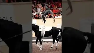 The end is truly amazing 🤩 #horse #equestrianrider #equestrian #showjumping #dressage #bond