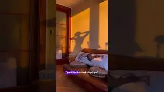 ПЕРЕЕЗЖАЮ В СВОЮ КВАРТИРУ #reels #vlog #переезд