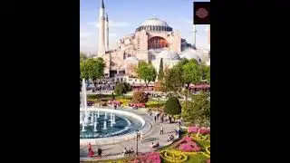 NAAT STAtus ar info tv