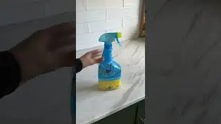 How to Clean My House&mdash; FAST! #gunkgetter  #cleanwithme  #cleanroutine