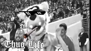 Jaguars Mascot Throws Cake - Thug Life