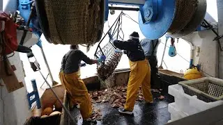 Australia will be 'looking closely' at Chinese fishing agreement with PNG