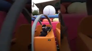 Baby clovers first ever roller coaster was at Disneyland Paris where was yours?