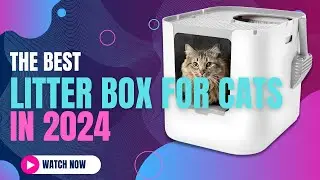 Best Litter Box for Cats 2024:Comfort for Cats, Convenience for Owners