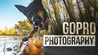 GoPro only Photography Challenge