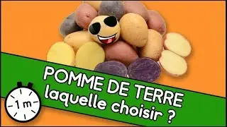 Pomme de terre, laquelle choisir ?  - Astuce YouCook