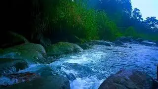 Nature River Sound Sleep Video for Deep Sleep, Relaxation & Night Time Calmness