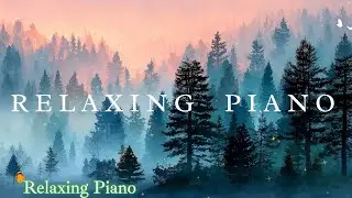 Click 1 Hour Relaxing Piano Music with Floral Visuals | Calm & Healing Background