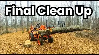 FIREWOOD DAY 3 STIHL MS261C