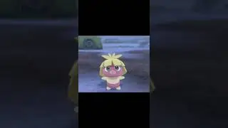 駆け寄ってくるムチュール　#Shorts