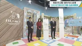 青森の冬に異変！暖冬が与える影響　スタジオに仕掛け「降雪量の違い」　除排雪業者や漁師の苦悩　大雪像作りも苦戦？