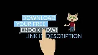 CAT SPRAYING NO MORE (Cat Training Guide)