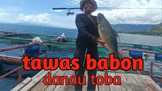 #4 Monster tawas danau Toba #grubpemancingdanautoba