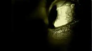 Through The Eyes Of A Mad Man