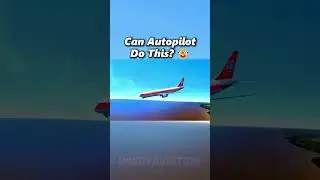 Autopilot Does Everything 🤓 #Aviation #plane #crash #edit
