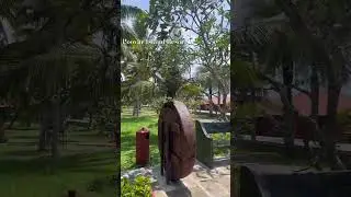 Poovar Island Resort #nature #relaxing #poovar