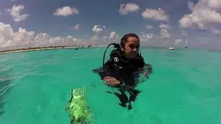 Plongée RANGIROA Passe Tiputa courant rentrant complète